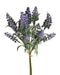 Lavender Bundle - Lilac (6 stems, 32cm long)