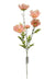 Large Cosmos Spray - Pink (5 heads, 80cm long)