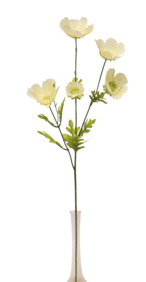 Large Cosmos Spray - Ivory (5 heads, 80cm long)