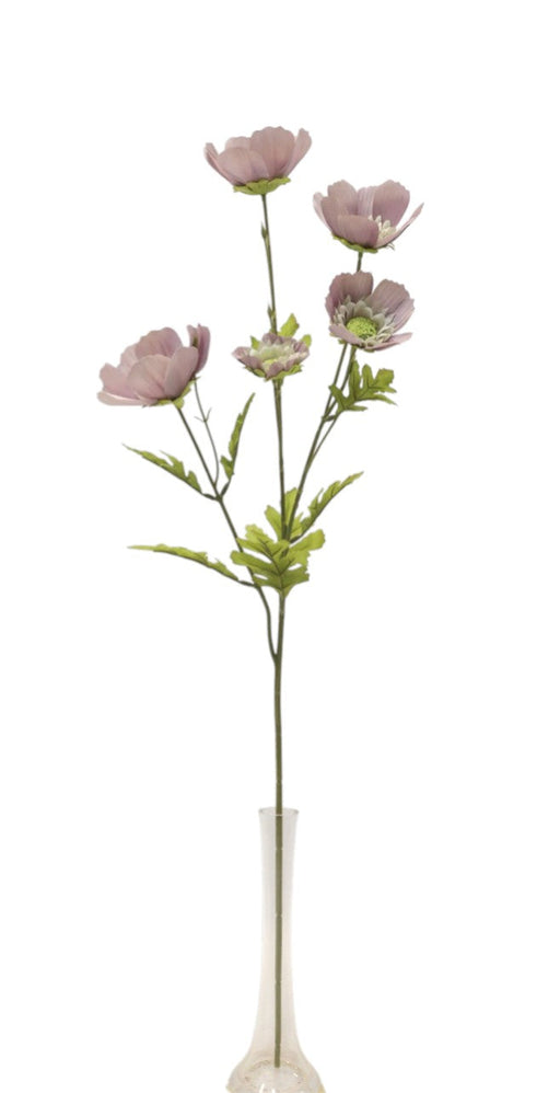 Large Cosmos Spray - Mauve (5 heads, 80cm long)