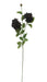 Large Dahlia Spray - Burgundy (117cm long)