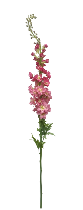Large Delphinium - Pink (135cm long)