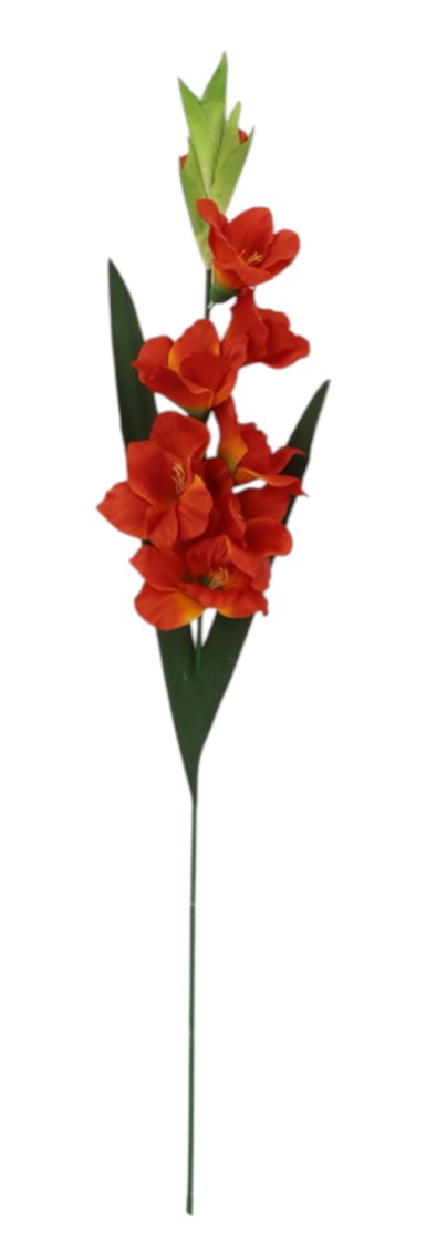 Large Gladiolus Spray - Red/Orange (7 heads, 90cm long)
