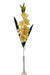 Large Gladiolus Spray - Peach (7 heads, 90cm long)