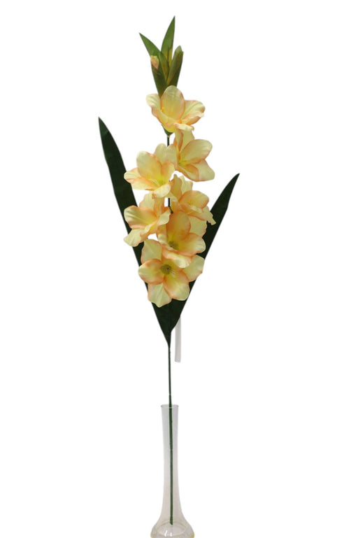 Large Gladiolus Spray - Peach (7 heads, 90cm long)