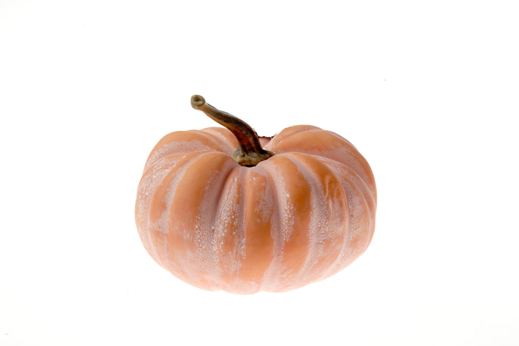 Medium Terracotta Pumpkin (25x21cm)