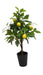 70cm long Real Touch Lemon Tree with Pot - Green & Yellow (70cm long)