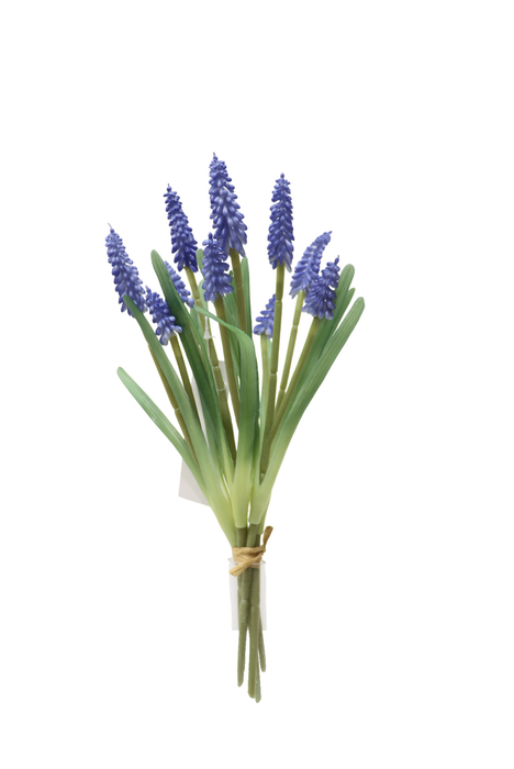 Muscari Bundle – Blue (10 heads, 30cm long)