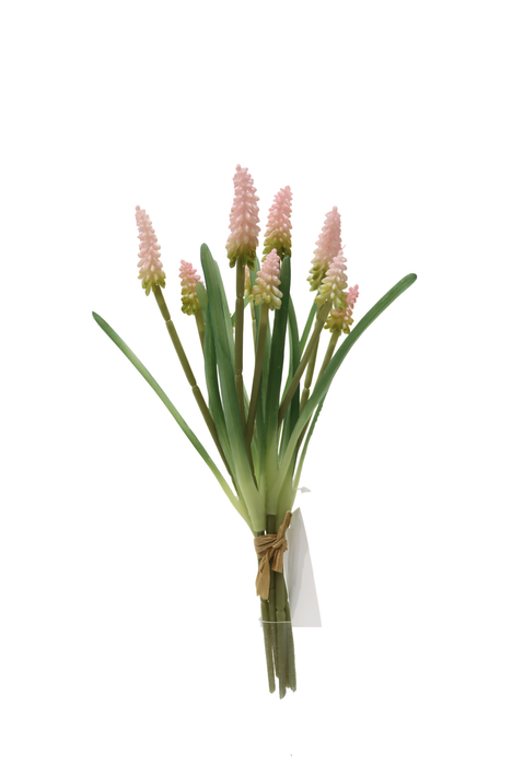 Muscari Bundle – Pink/Green (10 heads, 30cm long)