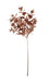 Metallic Eucalyptus Pick - Rose Gold (37.5cm long)