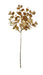 Metallic Eucalyptus Pick - Gold (37.5cm long)