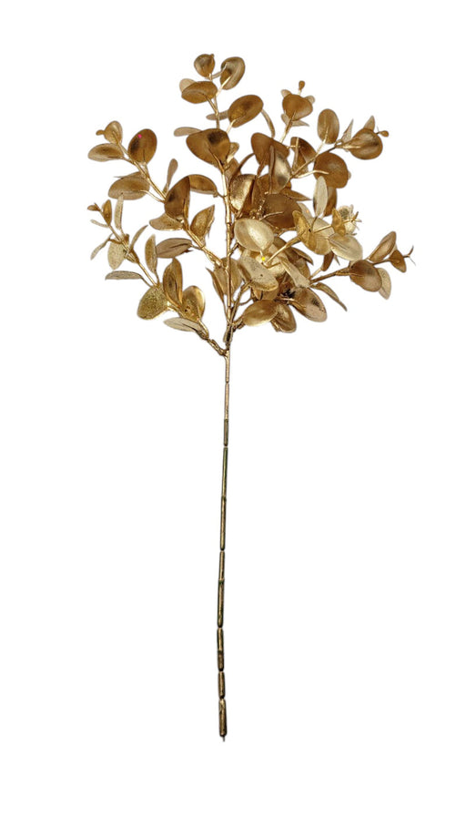 Metallic Eucalyptus Pick - Gold (37.5cm long)