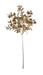 Metallic Eucalyptus Pick - Champagne (37.5cm long)
