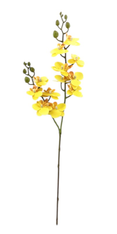 Mini Phalaenopsis Orchid Spray - Yellow (64cm long)