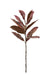 88cm Magnolia Spray - Red/Brown (88cm long with 12 leaves)