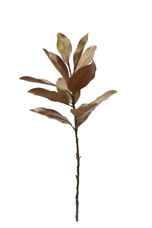 88cm Magnolia Spray - Brown (88cm long with 12 leaves)