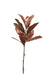 88cm Magnolia Spray - Orange/Brown (88cm long with 12 leaves)