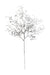Metallic Twig Pick - Silver (40cm long)
