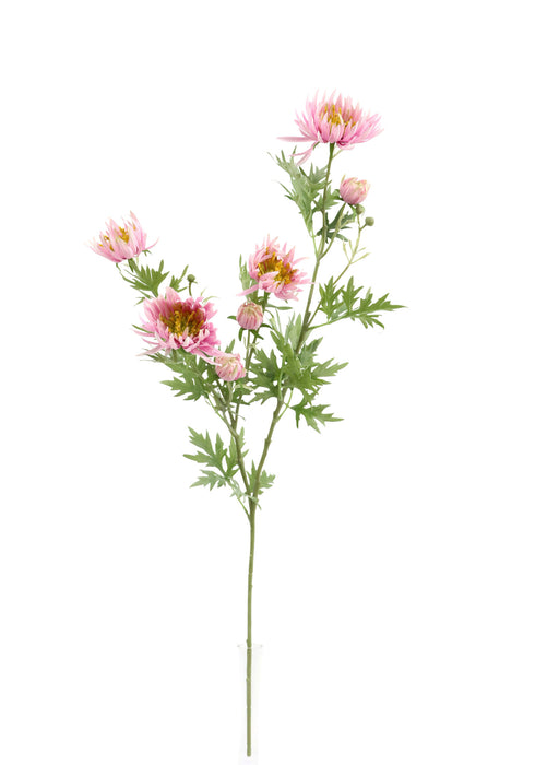 Needle Aster Spray – Pink (82cm long)
