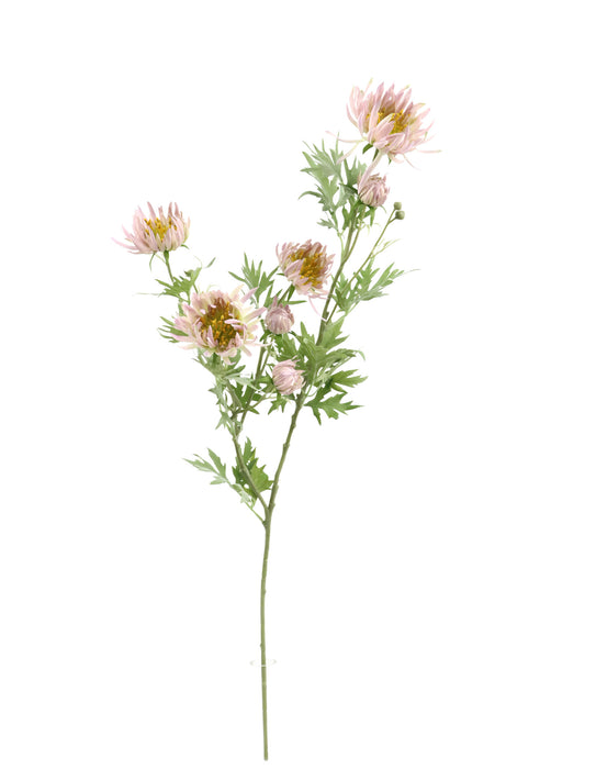 Needle Aster Spray – Light Mauve (82cm long)