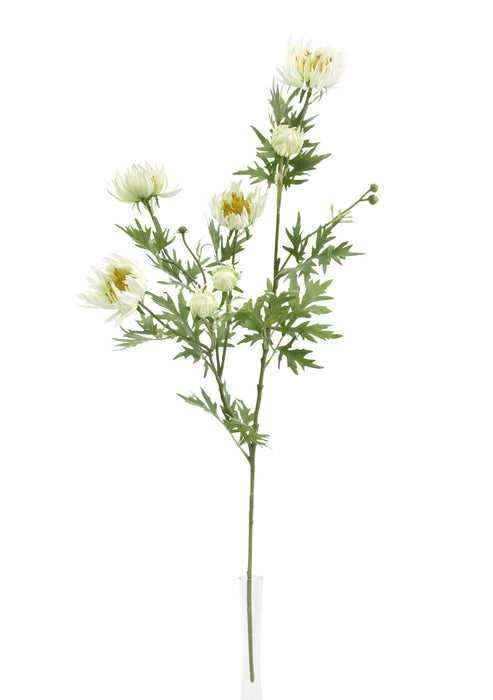 Needle Aster Spray – Ivory (82cm long)