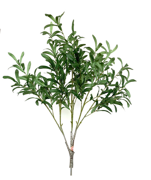 Olive Branch - Green