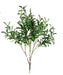 Olive Branch - Green