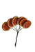Orange Slices on Wire - Natural (6 slices, 50mm diameter)