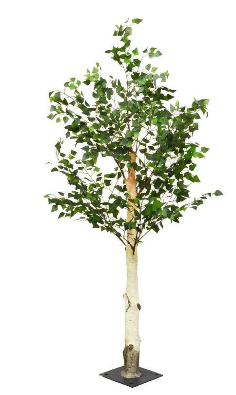 Birch Tree - Natural (2m tall with  branches)