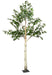 Birch Tree - Natural (3m tall with  branches)