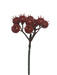 17cm Plastic Berry Pick - Red (17cm long with 9 berries)