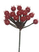 18cm Plastic Berry Pick - Red (18cm long with 18 berries)
