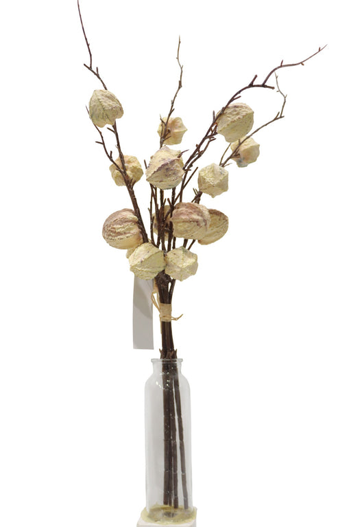 Physalis Bundle - Cream (60cm long, with 16 heads)