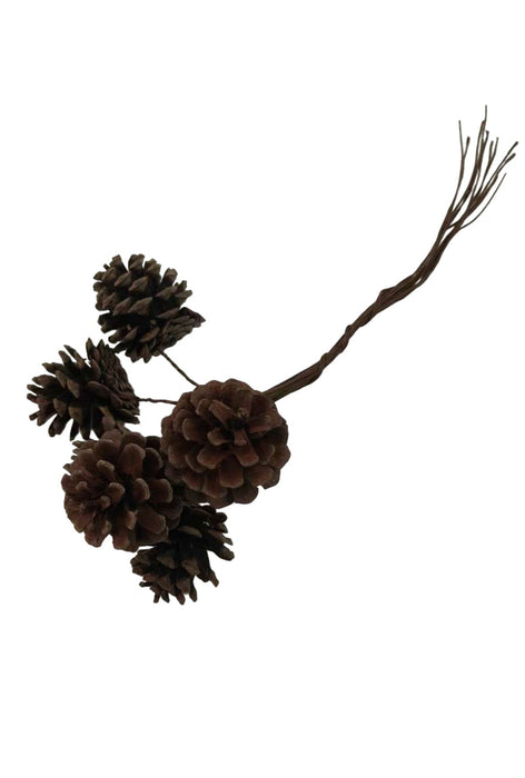 5cm Pine Cone Bundle on Wire - Natural (5cm diameter, 6 pine cones)