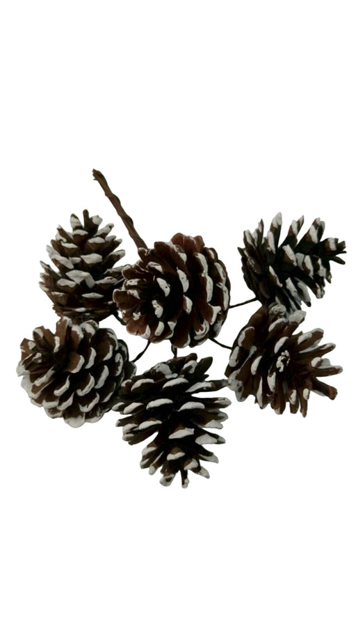 5cm Pine Cone Bundle on Wire - Natural/White (5cm diameter, 6 pine cones)