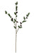 94cm Pine & Cone Spray - Natural (94cm long)