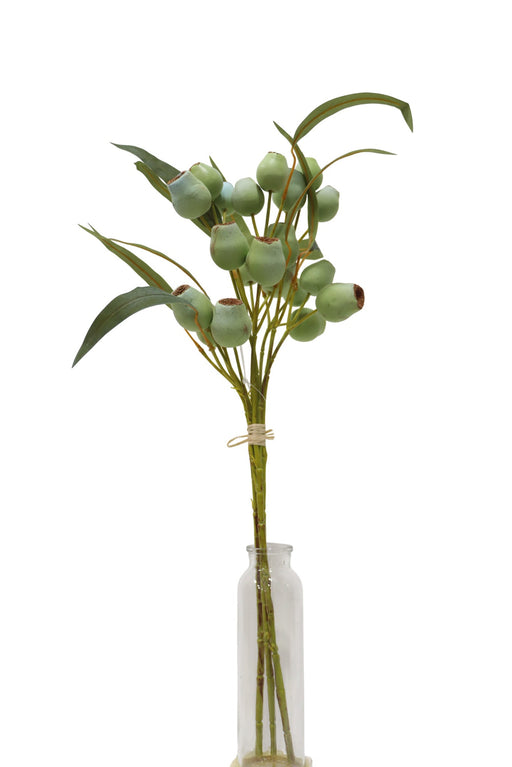 Poppy Pod Bundle - Light Green (55cm long, with 3 stems)