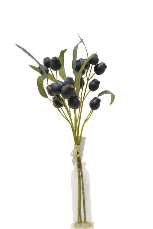 Poppy Pod Bundle - Black (55cm long, with 3 stems)