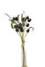 Poppy Pod Bundle - Black (55cm long, with 3 stems)