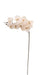 Artificial Phalaenopsis Spray - Cream (102cm long with 9 heads)