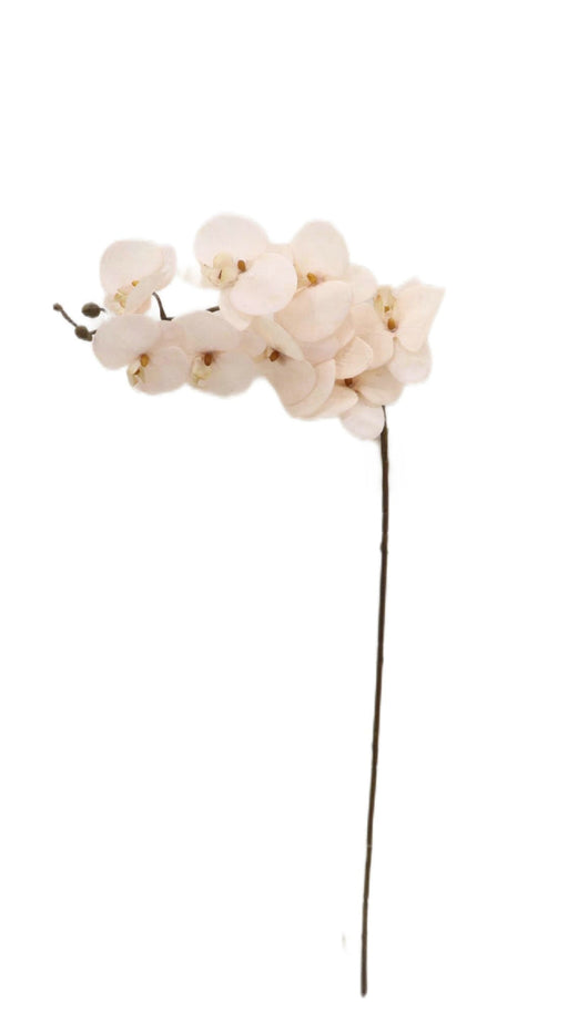 Artificial Phalaenopsis Spray - Cream (102cm long with 9 heads)