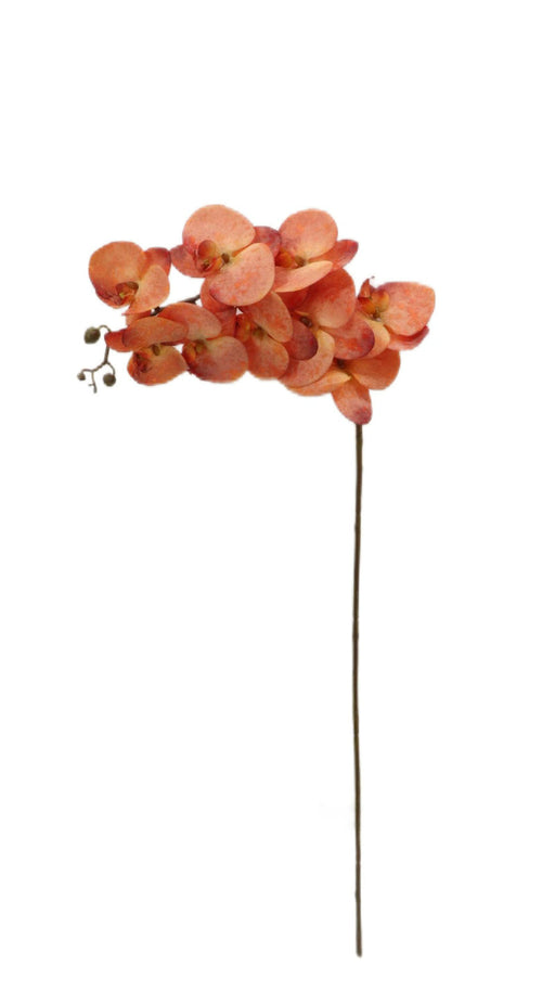 Artificial Phalaenopsis Spray - Orange (102cm long with 9 heads)