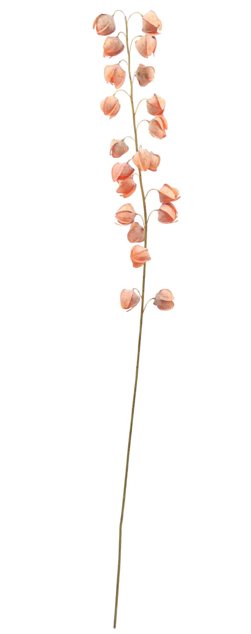 130cm Physalis Spray - Orange (130cm long)