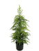 78cm Potted Pine Tree - Green (78cm long)