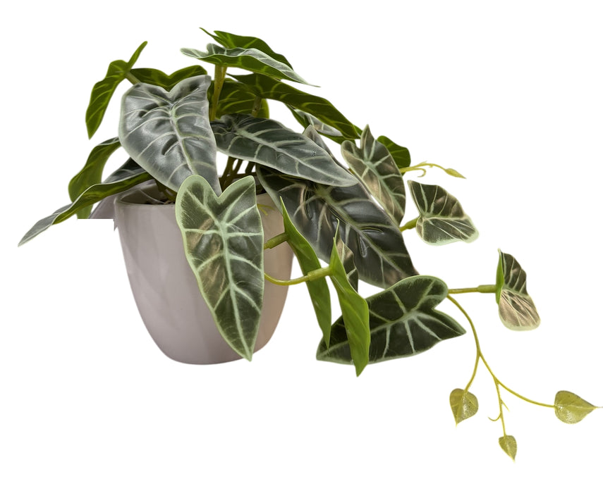 Real Touch Alocasia Elephant Ear Plant in White Pot – Green (30cm long)