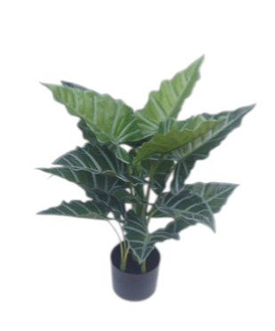 73cm Real Touch Alocasia Plant in Pot - Green (73cm long)