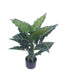 73cm Real Touch Alocasia Plant in Pot - Green (73cm long)