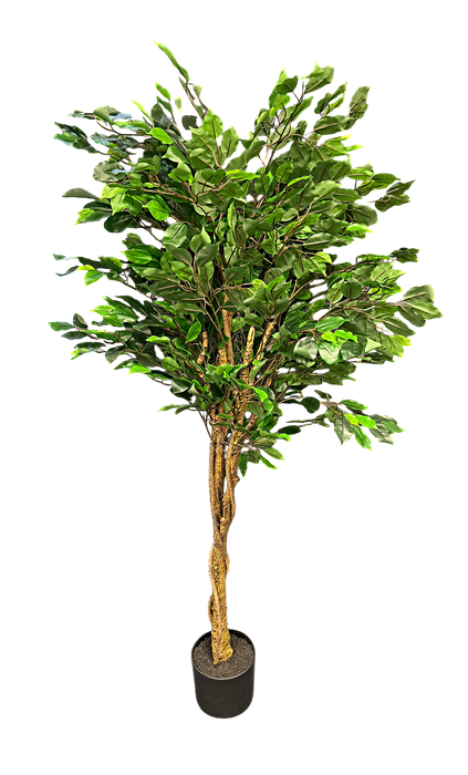 Real Touch Artificial Ficus Tree - Green (UV Protected, 180cm long)