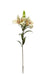 Artificial Lily Spray - Brown/Cream (90cm long with 2 heads and a bud)