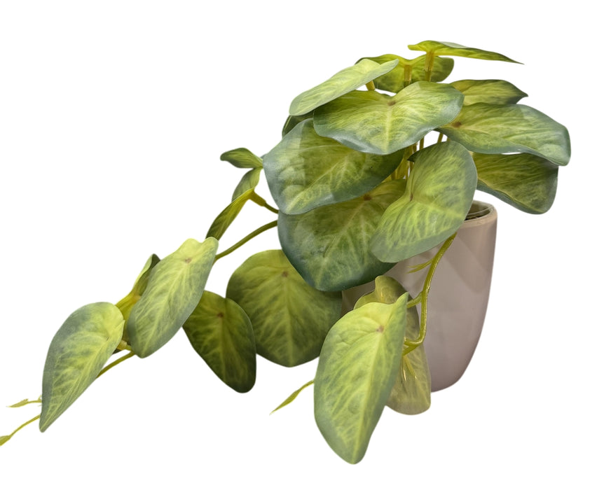 Real Touch Philodendron Plant in White Pot – Green (30cm long)